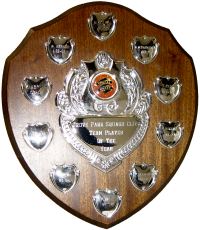 Team Player of the Year Trophy